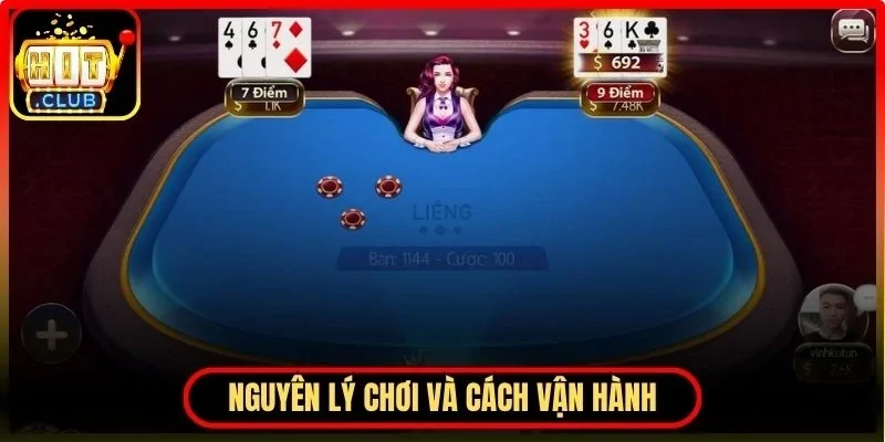 Bài Liêng Hitclub - Chi Tiết Cách Chơi Và Chiến Thuật Hay 3 Hitclub Nguyên lý chơi và cách vận hành cơ bản trong bài liêng
